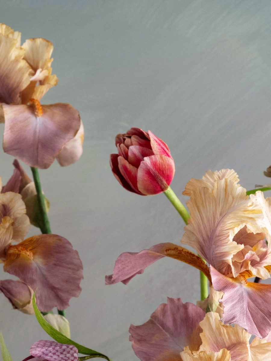 Quickening (Gallery Edition, Framed)