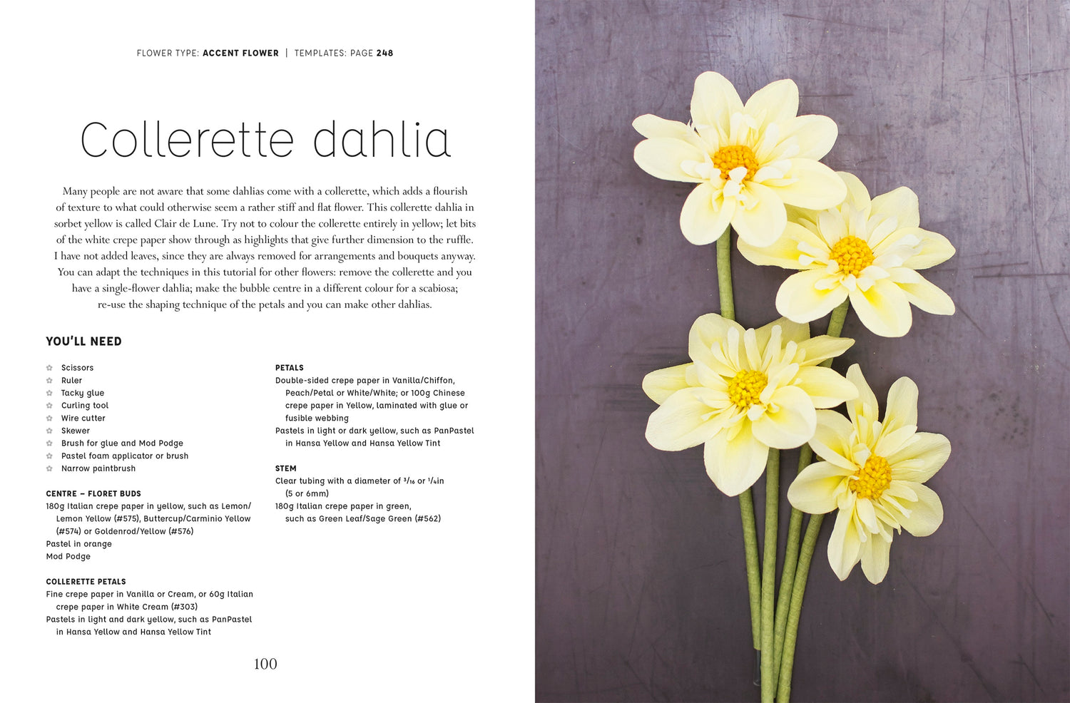 Paper Flower Art (Hardback Book), Signed by Jessie