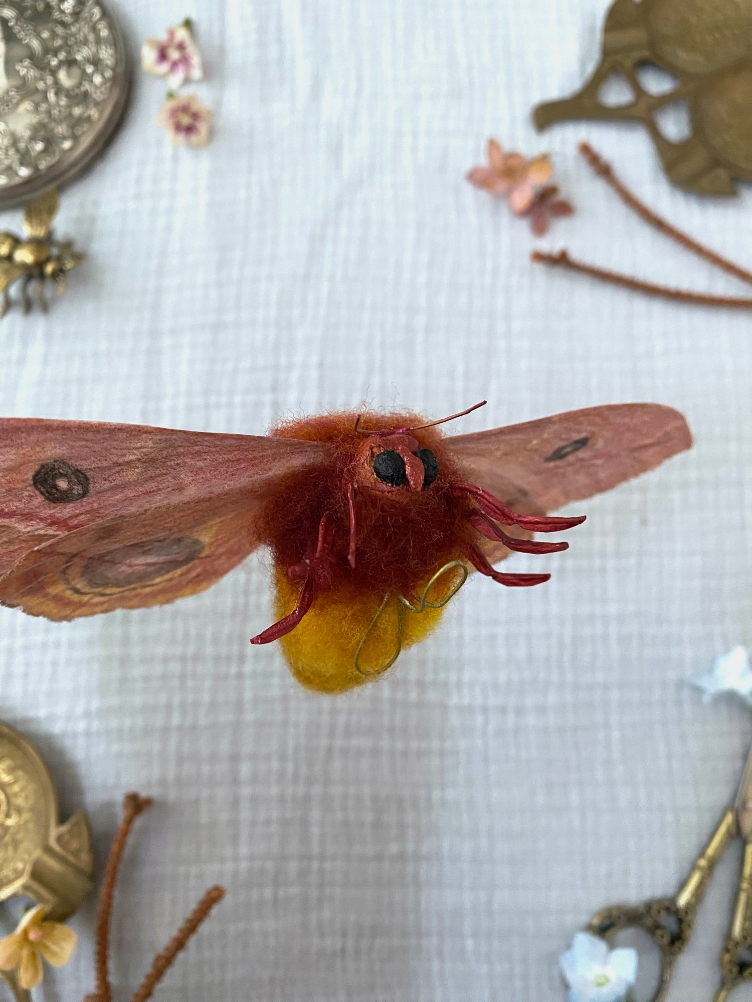 Female Io Moth (Reddish Brown)