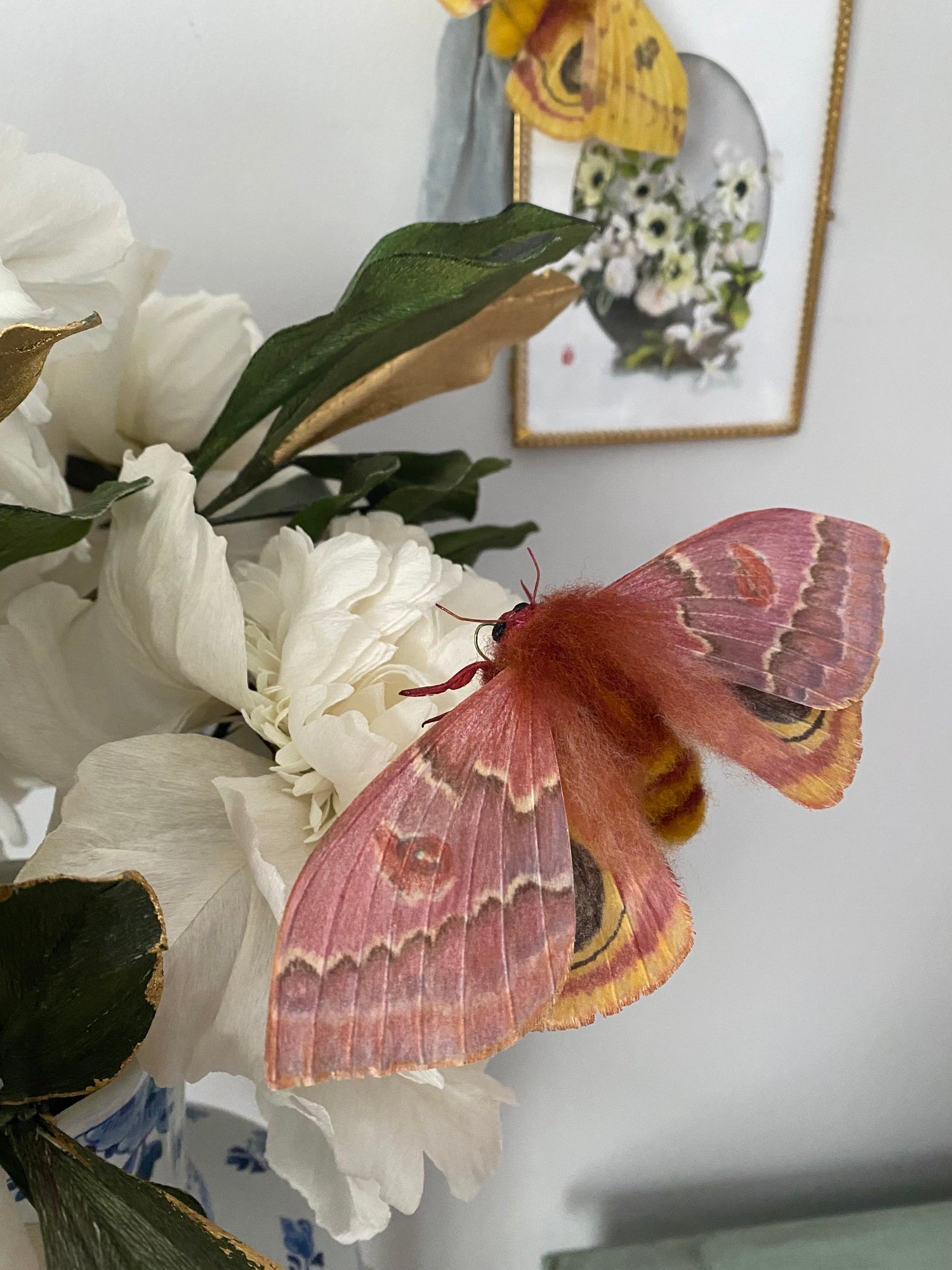 Female Io Moth (Reddish Brown)
