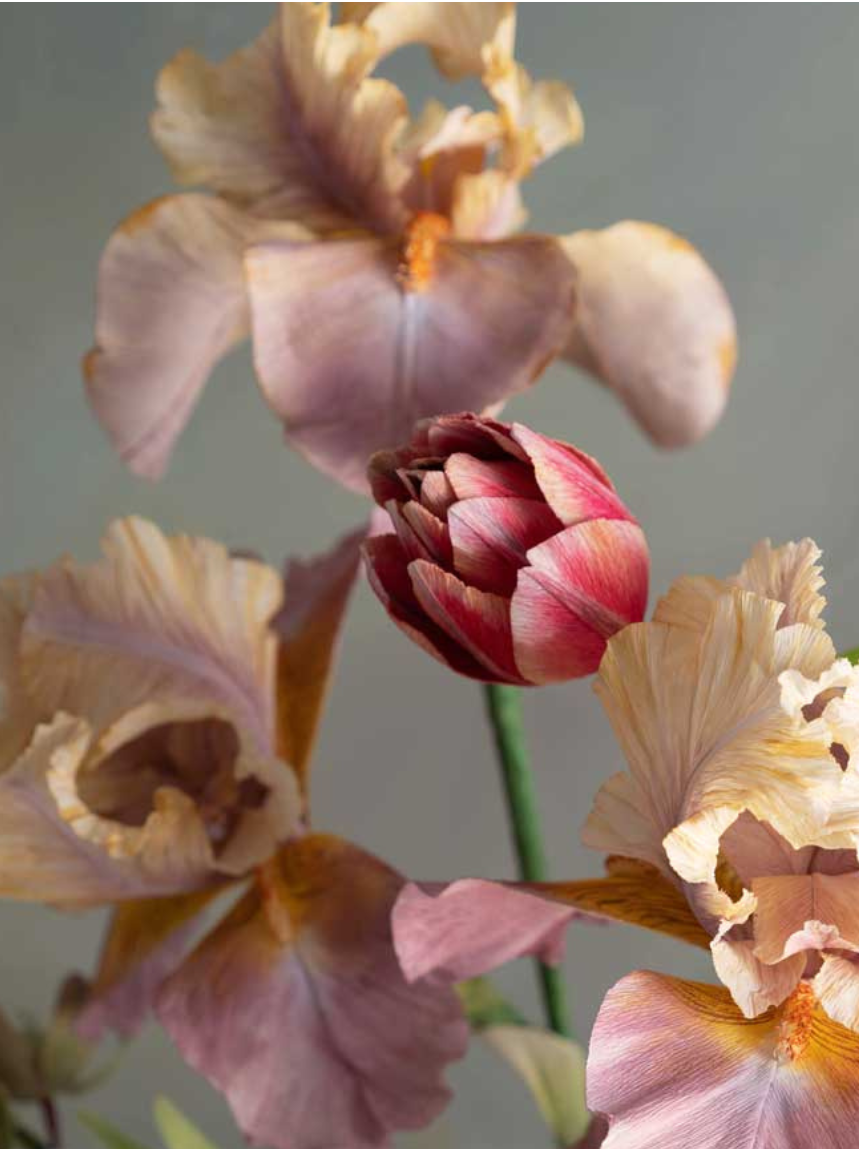 Awakening (Limited Edition Print)