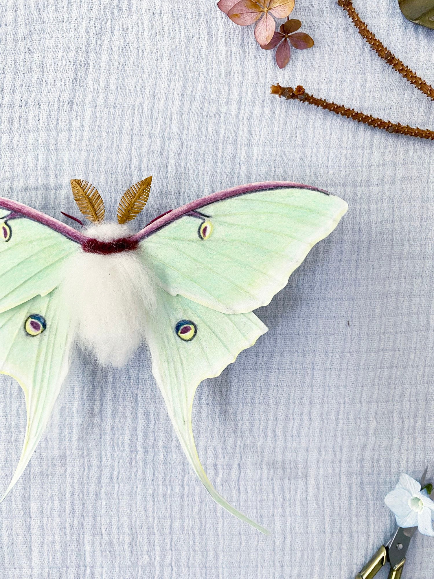 Luna Moth (Green)