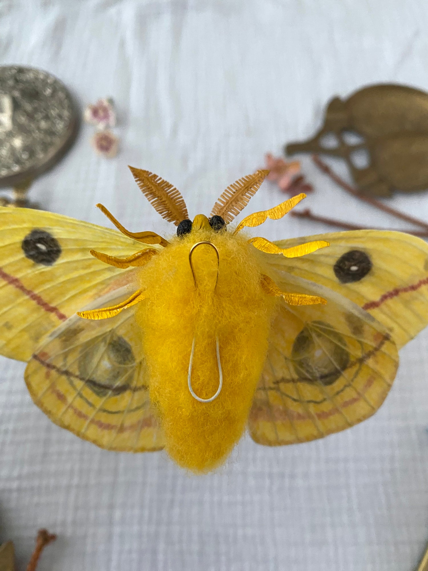 Male Io Moth (Yellow)