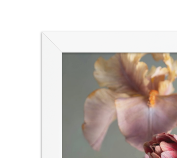 Awakening (Gallery Edition, Framed)