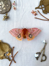 Female Io Moth (Reddish Brown)