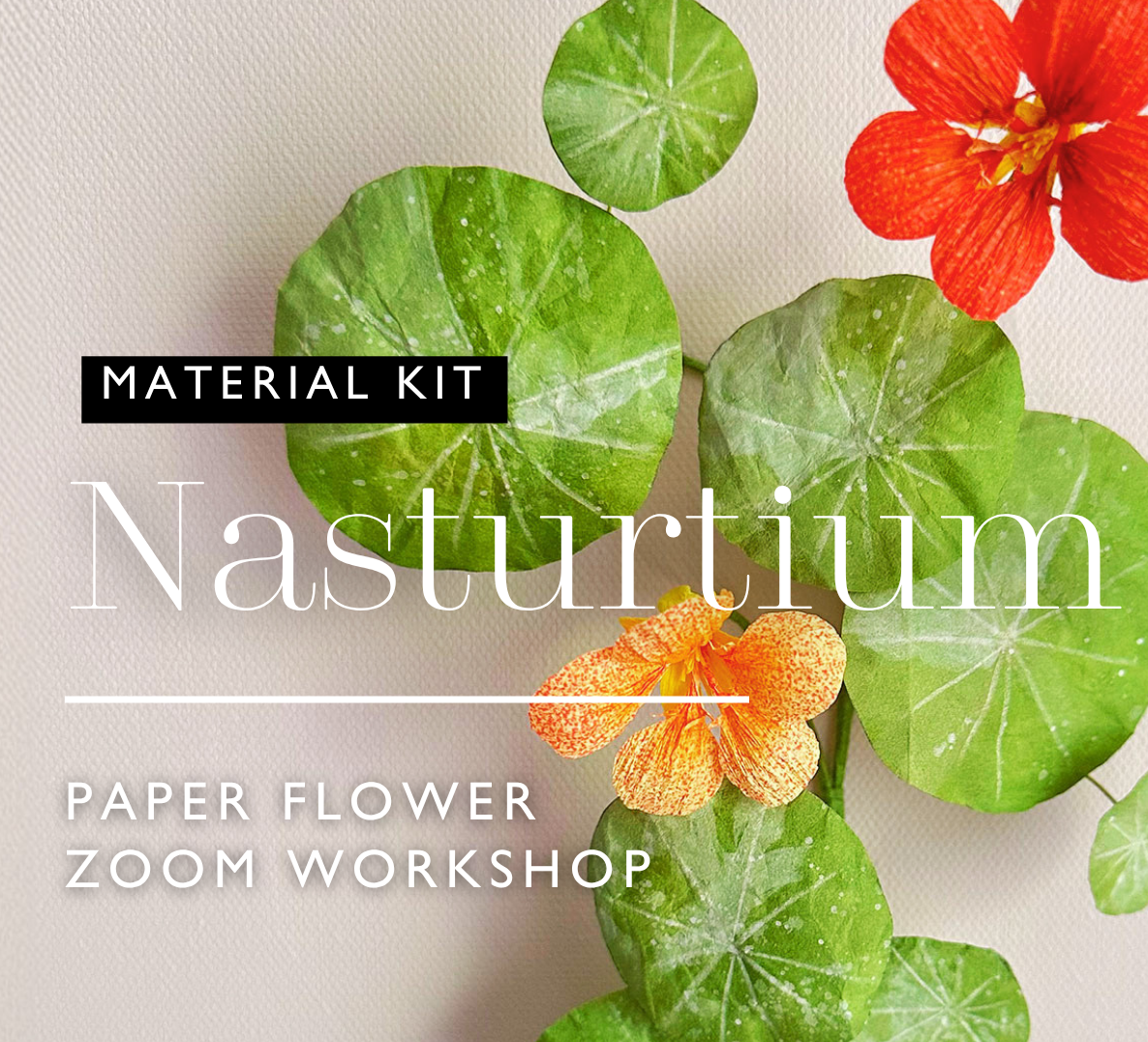 Nasturtium Zoom Workshop :: Material Kit (Kozo paper only)